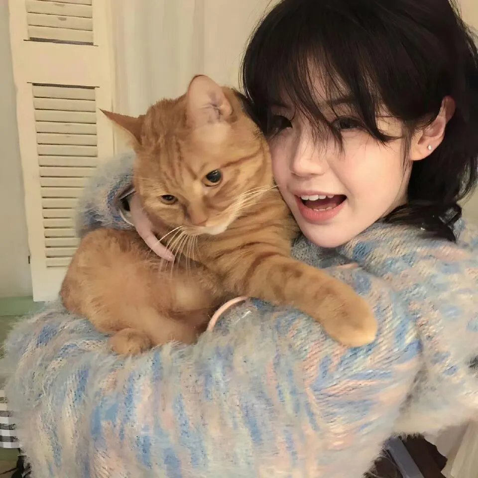 警察结婚记国语